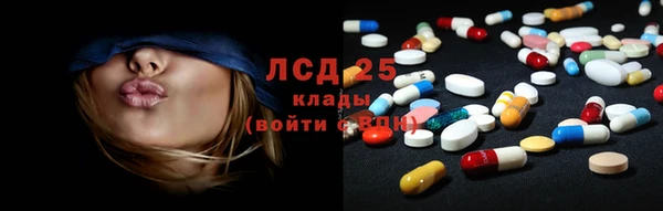 шишки Богородицк
