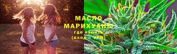 шишки Богородицк