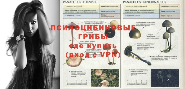 шишки Богородицк