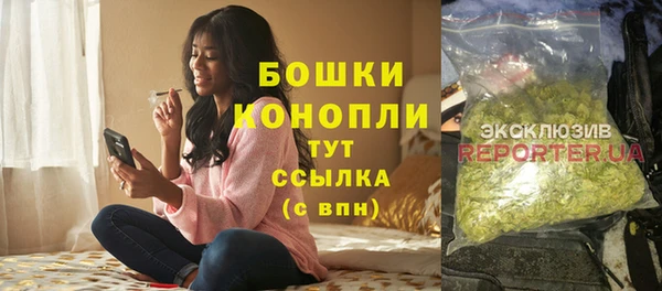 шишки Богородицк