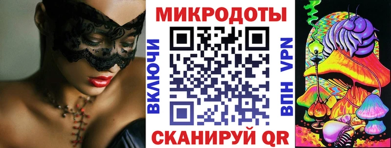 дарк нет как зайти  Старица  Псилоцибиновые грибы Magic Shrooms 